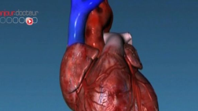 Quizz : connaissez-vous votre coeur ?
