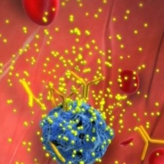 LA GRIPPE A (H1N1)
