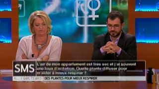 Quelles plantes utiliser en cas de toux d'irritation ?