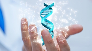 Des nouveaux "ciseaux moléculaires" encore plus précis que CRISPR-Cas9