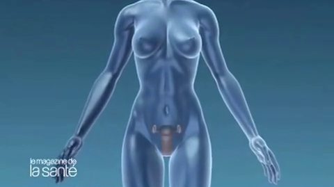 Mycose, vaginose… Tour d’horizon des infections les plus courantes et de leurs traitements