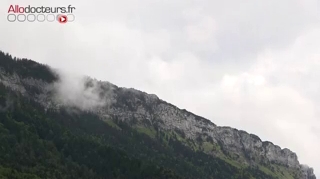 La mélisse est particulièrement indiquée en cas de troubles digestifs.