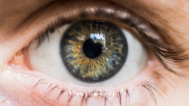 Ce qu’il faut savoir sur les occlusions des vaisseaux de la rétine, cette complication potentielle du Covid-19