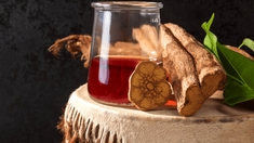 Quels sont les effets de l'ayahusca, plante d'Amazonie qui soignerait la dépression ?