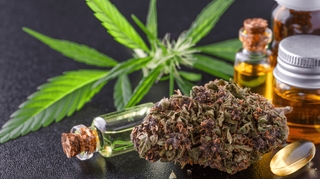 Le cannabis a-t-il un impact sur la fertilité et la libido ?