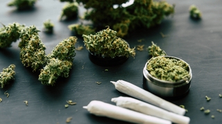 Qu’est-ce que le Rosin, ce puissant dérivé du cannabis ?