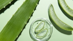 Quels sont les véritables bienfaits de l’Aloe vera ?