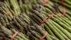 Quels sont les bienfaits des asperges ?