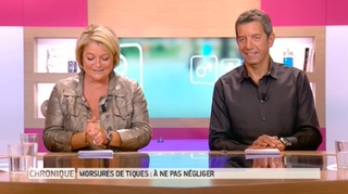 Que faire en cas de morsure de tique ?