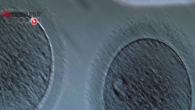 Cancer : mieux informer sur les risques d'infertilité liés aux traitements